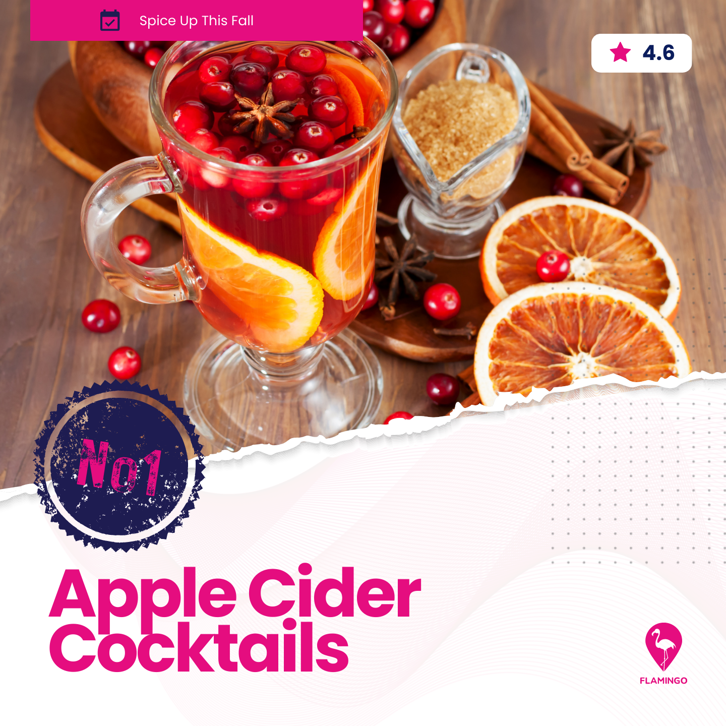 Apple Cider Cocktails