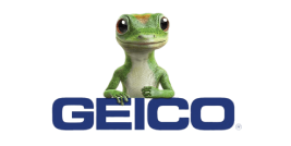 Geico : Brand Short Description Type Here.