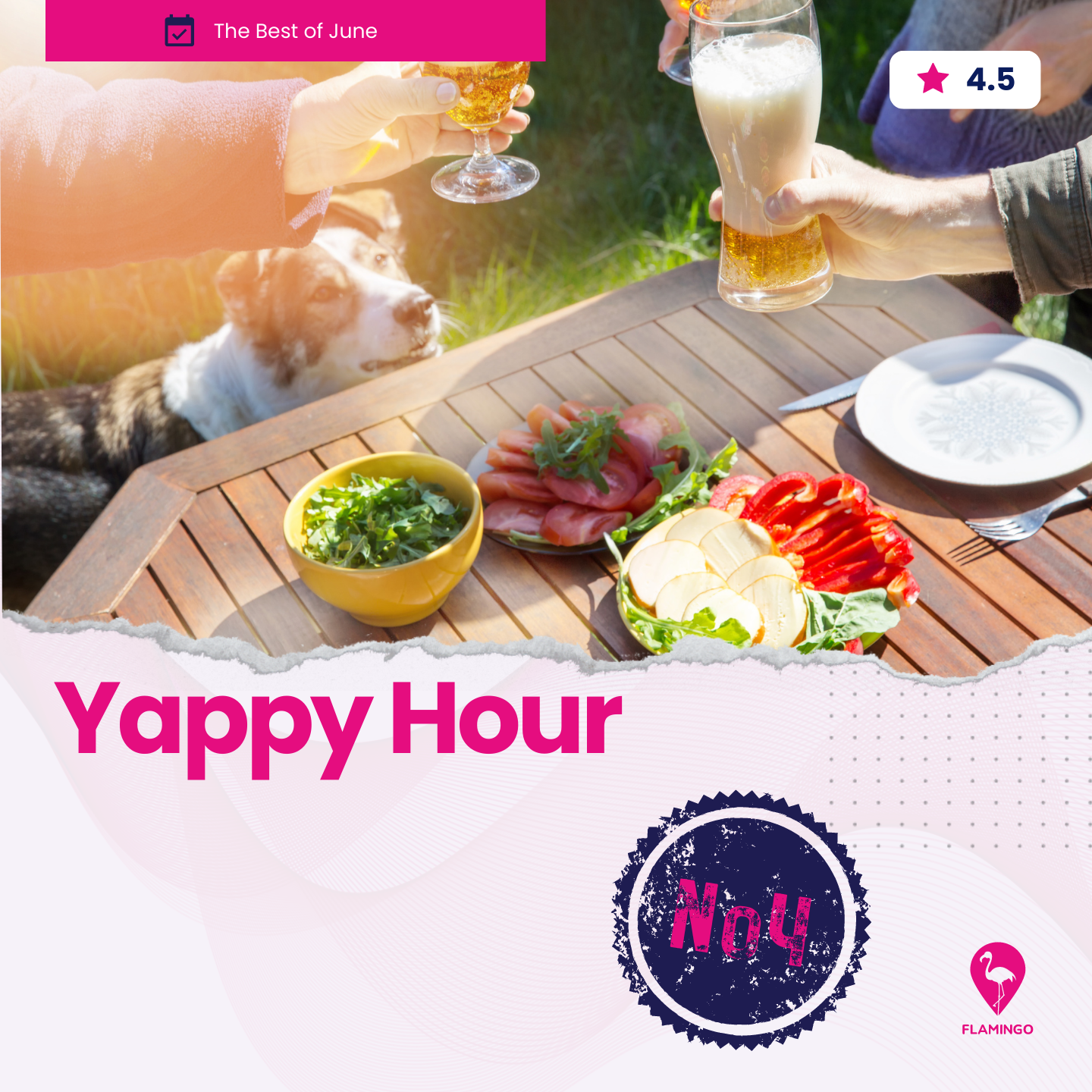 Yappy Hour | Resident Event Ideas for June | Flamingo