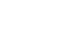 Elysian Living and Flamingo collaboration success